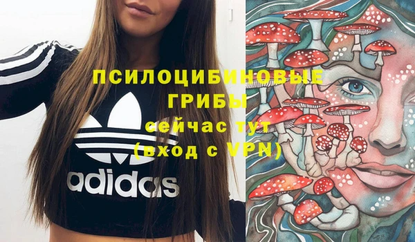 таблы Арсеньев