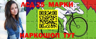 Альфа ПВП Будённовск