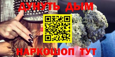 стаф Донской