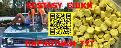 стаф Донской