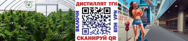 Дистиллят ТГК гашишное масло  Златоуст 