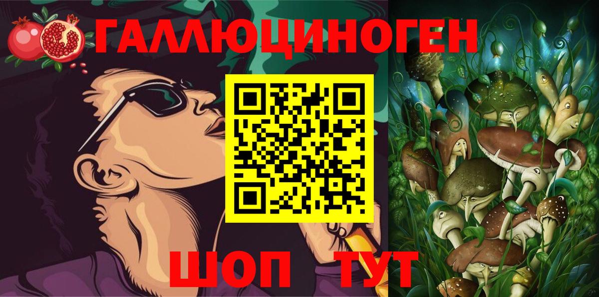 Златоуст  Псилоцибиновые грибы Psilocybe  Вход с VPN 