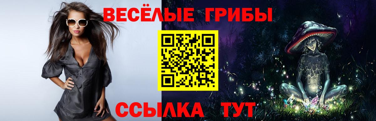 LSD-25  Вход с VPN  Купить закладку  Канабис  МДМА  Златоуст  ГАШ  Меф МЯУ МЯУ  
